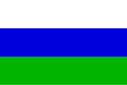 Bandera de Guataquí