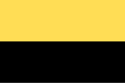 Bandera de Magüí Payán