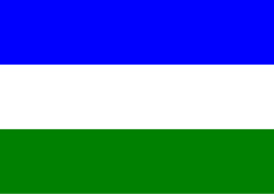 Bandera de Vijes