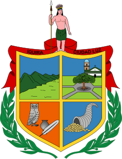 Escudo de Íquira