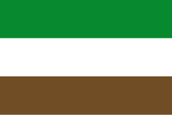 Bandera de Arauquita