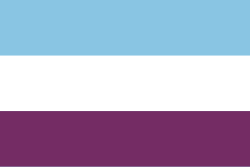 Bandera de Ráquira