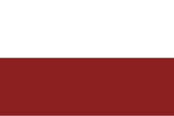 Bandera de Cisneros