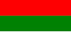 Bandera de Tuluá