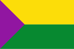 Bandera de Turmequé