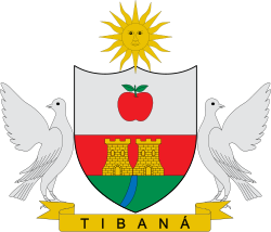 Escudo de Tibaná