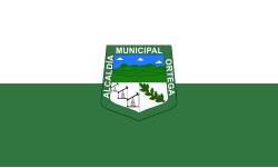 Bandera de Ortega