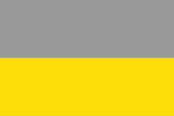 Bandera de Condoto