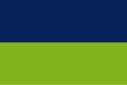 Bandera de El Tarra