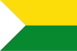Bandera de Chaguaní