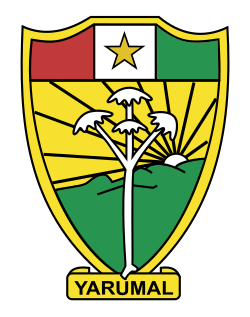 Escudo de Yarumal