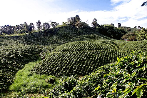 Alcalá, Valle del Cauca
