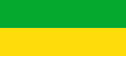 Bandera de San Carlos de Guaroa