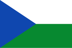 Bandera de Puerto Rondón