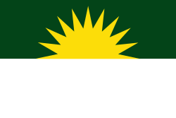 Bandera de La Jagua del Pilar