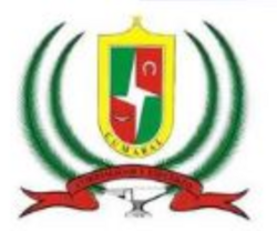 Escudo de Cumaral