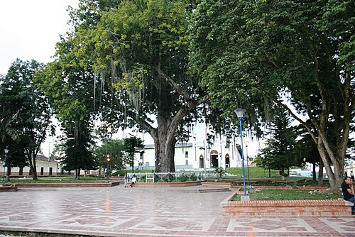 Saladoblanco, Huila