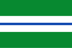 Bandera de Bucarasica