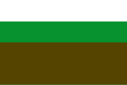 Bandera de El Charco