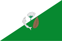 Bandera de Córdoba