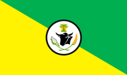 Bandera de Villanueva