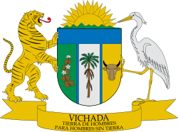 Escudo de Vichada