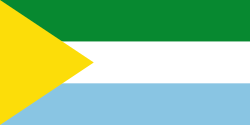Bandera de San Vicente del Caguán