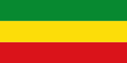 Bandera de Tarazá