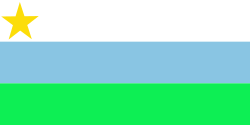 Bandera de Puerto Guzmán