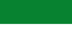 Bandera de La Tola
