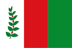 Bandera de San José de Albán
