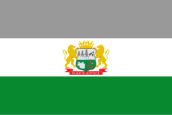 Bandera de Puerto Boyacá