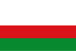 Bandera de Piedras