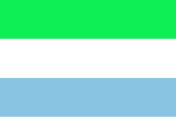 Bandera de Linares