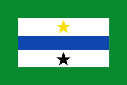 Bandera de El Playón
