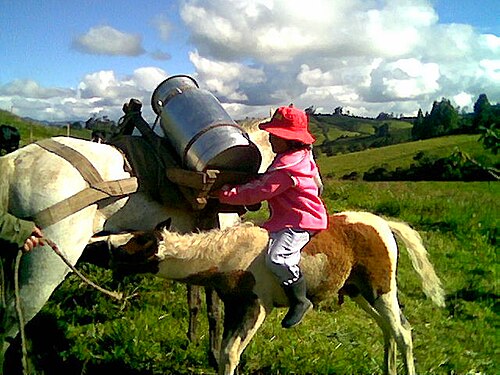 Pupiales, Nariño