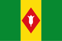 Bandera de La Florida