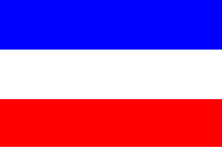 Bandera de Socha
