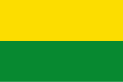 Bandera de Valdivia