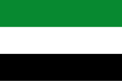 Bandera de Hatonuevo
