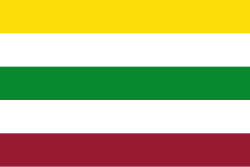 Bandera de Purificación