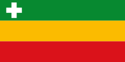 Bandera de Páez