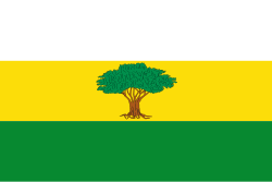 Bandera de Arroyohondo