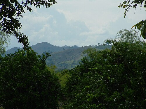 Montenegro, Quindío