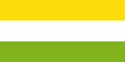Bandera de San Pedro