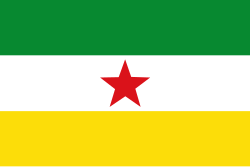 Bandera de Orocué