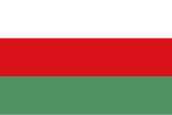 Bandera de Venadillo