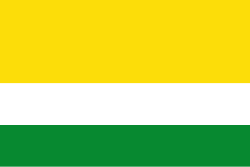 Bandera de Valle de San Juan