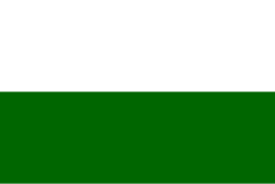 Bandera de San Martín