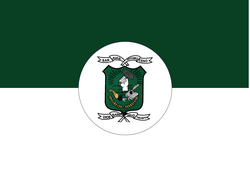 Bandera de San Juan Nepomuceno